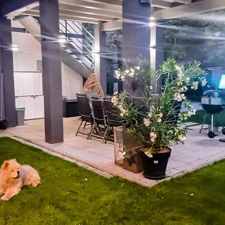 Kocka Na Prízemí *