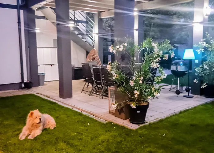 Kocka Na Prízemí *